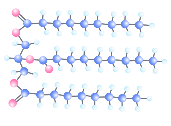 Среднецепочечные Триглицериды восстанавливают