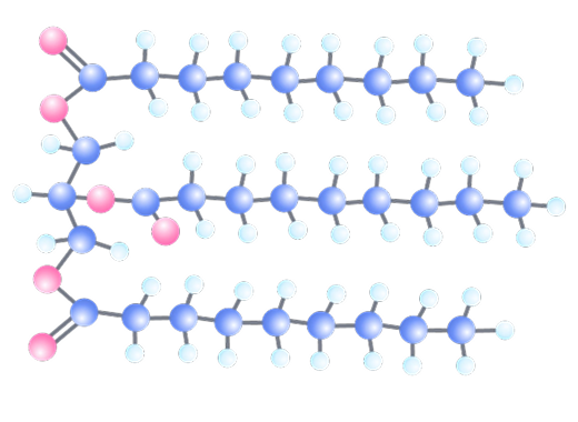 Липидный компонент 